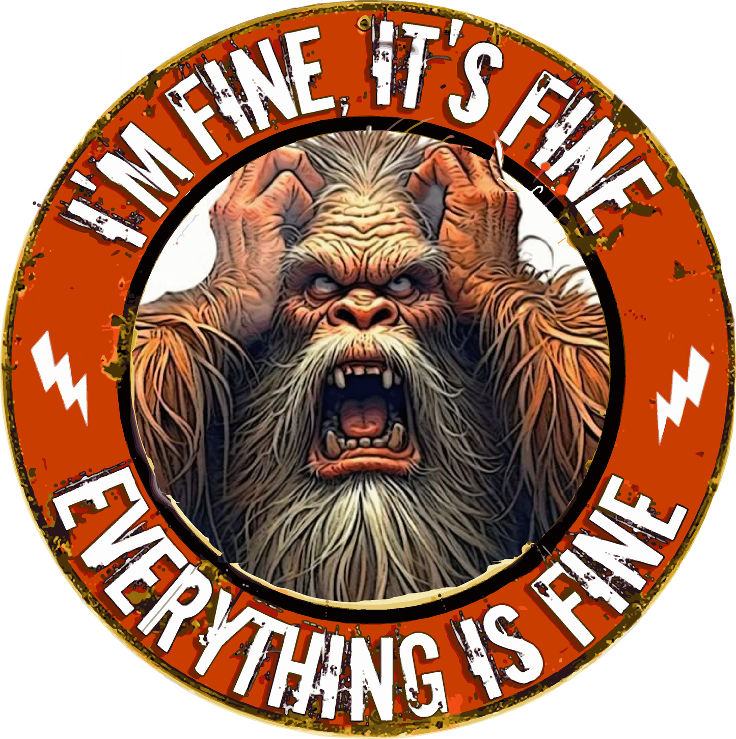 IM FINE ITS FINE TEE SHIRT